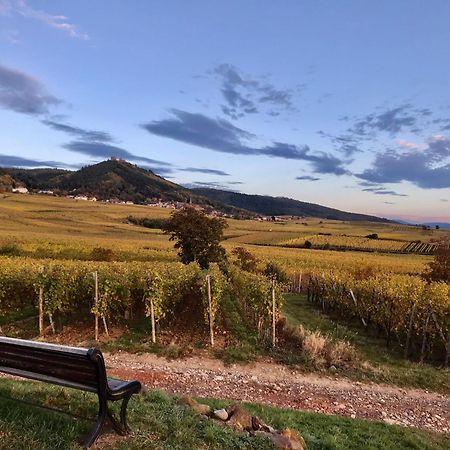 Chabi Chalet Gite Au Coeur D'Eguisheim Dış mekan fotoğraf